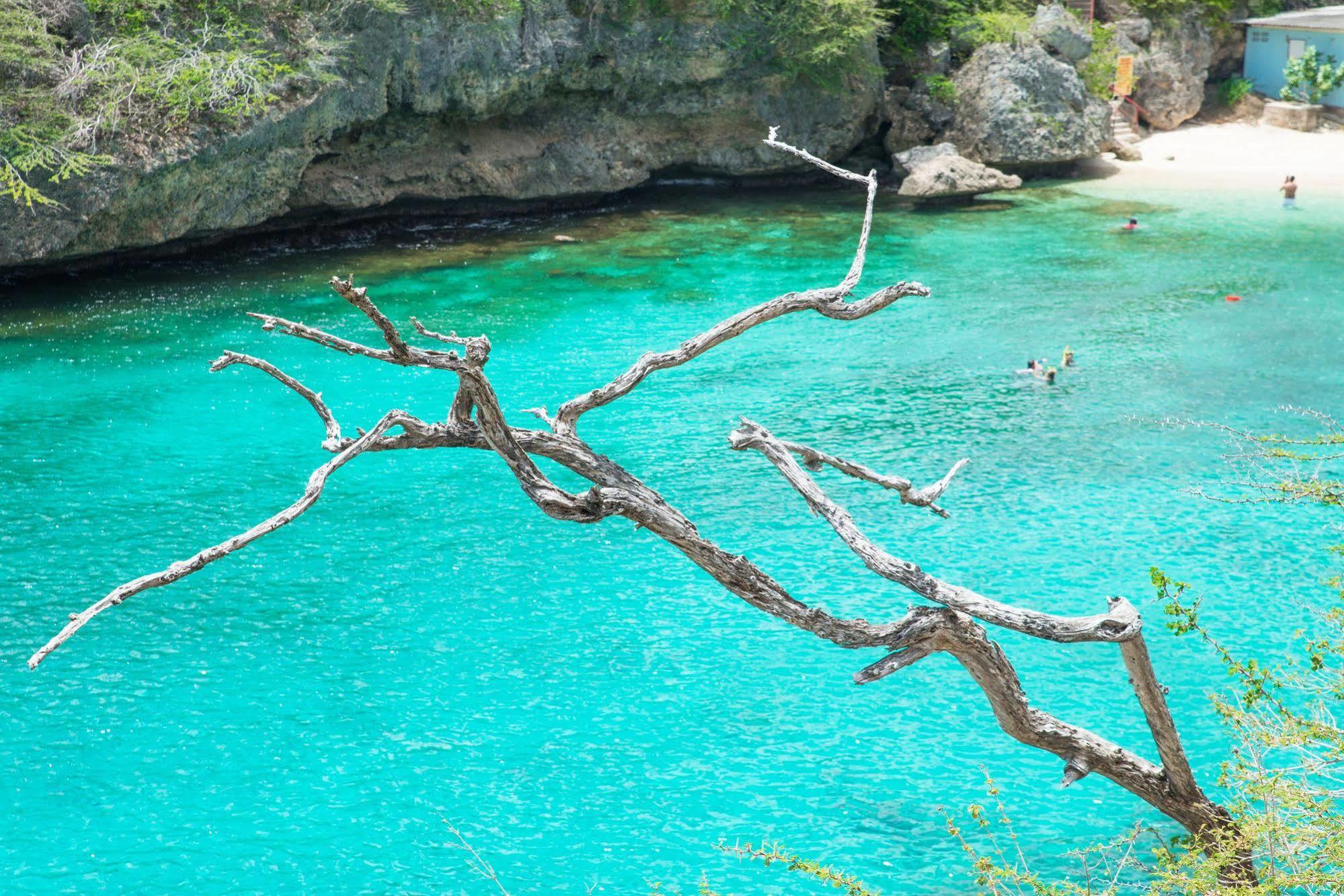 Lagun Blou Dive And Beach Resort Exterior photo